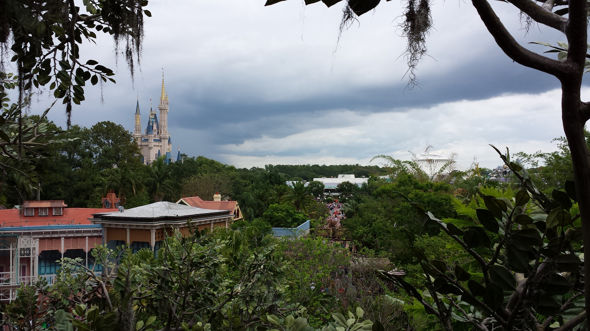 View from Swiss Family Treehouse 